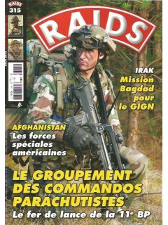 Raids (γαλλική έκδοση) No 315