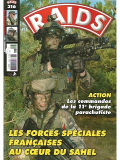 Raids (γαλλική έκδοση) No 316