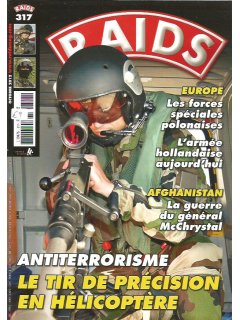 Raids (γαλλική έκδοση) No 317