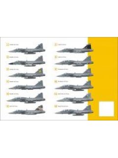 Saab JAS 39 Gripen Colours & Markings 1/48, Mark I