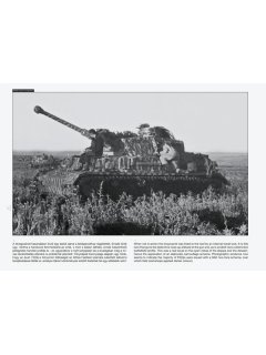 Panzer IV on the Battlefield 2, Peko