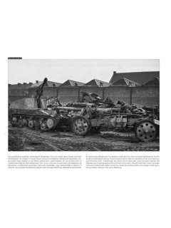 German Self-Propelled Guns on the Battlefield, Peko
