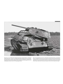 T-34 on the Battlefield 2, Peko