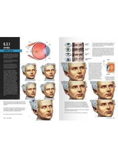 Figures F.A.Q. - Figure Painting Techniques