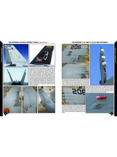 The Modern Super Hornet Guide, Reid Air 