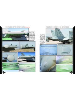 The Modern Super Hornet Guide, Reid Air 