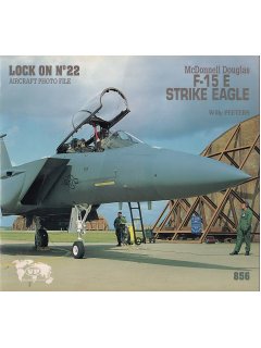 Lock on No 22: F-15 E Strike Eagle