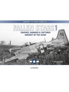 Fallen Stars 1: Crashed, Damaged & Captured Aircraft of the USAAF