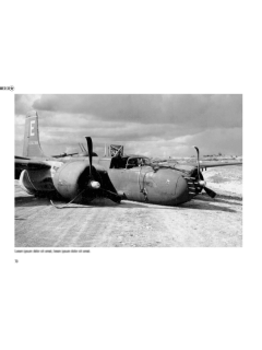 Fallen Stars 1: Crashed, Damaged & Captured Aircraft of the USAAF