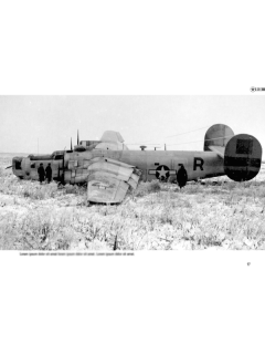 Fallen Stars 1: Crashed, Damaged & Captured Aircraft of the USAAF