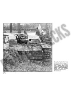 Combat History of Sturmpanzer-Abteilung 217, Panzerwrecks