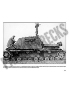 Combat History of Sturmpanzer-Abteilung 217, Panzerwrecks