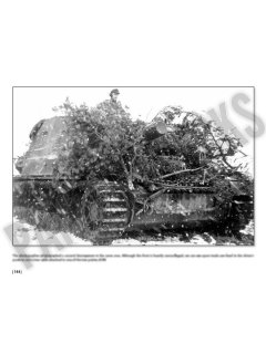 Combat History of Sturmpanzer-Abteilung 217, Panzerwrecks