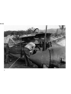 Fallen Stars 1: Crashed, Damaged & Captured Aircraft of the USAAF
