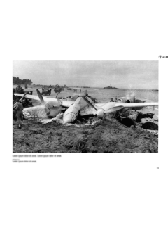 Fallen Stars 1: Crashed, Damaged & Captured Aircraft of the USAAF