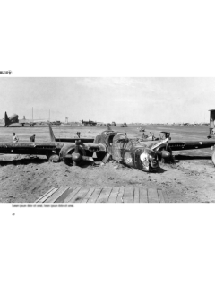 Fallen Stars 1: Crashed, Damaged & Captured Aircraft of the USAAF