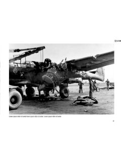 Fallen Stars 1: Crashed, Damaged & Captured Aircraft of the USAAF