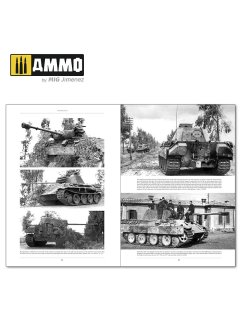 Italienfeldzug - German Tanks and Vehicles 1943-1945 Vol. 2, AMMO