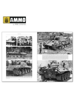 Italienfeldzug - German Tanks and Vehicles 1943-1945 Vol. 2, AMMO