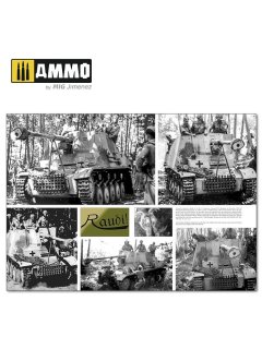 Italienfeldzug - German Tanks and Vehicles 1943-1945 Vol. 2, AMMO