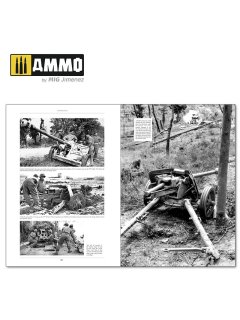 Italienfeldzug - German Tanks and Vehicles 1943-1945 Vol. 2, AMMO