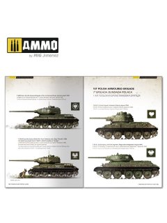 T-34 Colors, AMMO