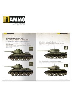 T-34 Colors, AMMO