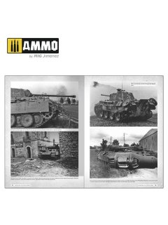 Panthers - Modelling the Takom Family, AMMO