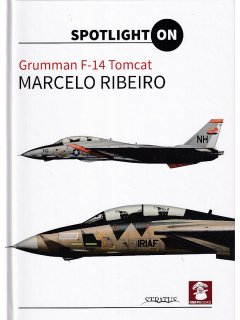Grumman F-14 Tomcat, MMP