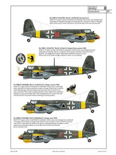 Henschel Hs 129, Valiant Wings