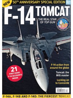 F-14 Tomcat - The Real Star of Top Gun