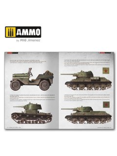 Stalingrad Vehicles Colors, AMMO