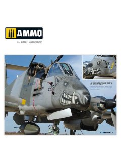 IA-58 Pucara - Visual Modelers Guide, AMMO