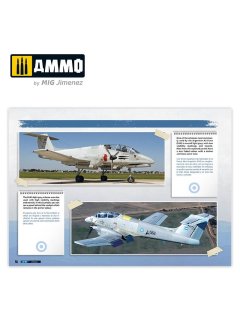 IA-58 Pucara - Visual Modelers Guide, AMMO