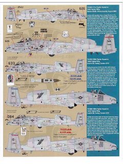 War-Weary Warthogs 1/48