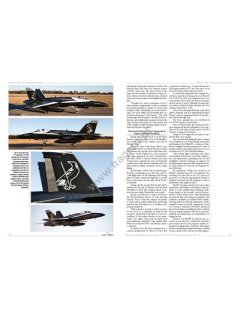 F/A-18 E/F Super Hornets Vol. II, Kagero