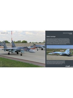 Sukhoi Su-35S Flanker E, Duke Hawkins 020 