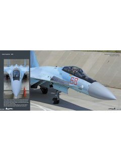 Sukhoi Su-35S Flanker E, Duke Hawkins 020