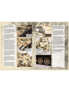 Soviet Armour in Foreign Wars