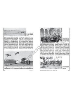 Crickets Against Rats Vol I, Air Battles No 22, Kagero