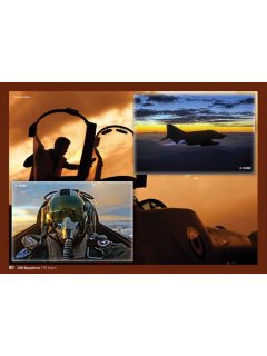 HAF 338 Squadron: 70 years, Eagle Aviation