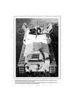 Czechoslovak Tanks 1930-1945 - Part 3, Capricorn