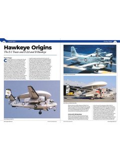 E-2 Hawkeye, Real to Replica Blue 1, Phoenix