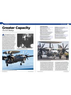 E-2 Hawkeye, Real to Replica Blue 1, Phoenix