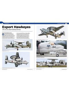 E-2 Hawkeye, Real to Replica Blue 1, Phoenix