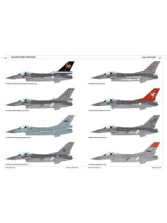 F-16 Fighting Falcon - Part 2, Real to Replica Red 2, Phoenix