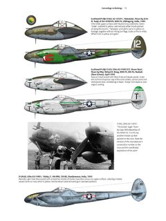 P-38 Lightning, Valiant Wings