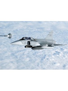 Gripen, Real to Replica Blue 2, Phoenix