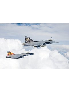 Gripen, Real to Replica Blue 2, Phoenix