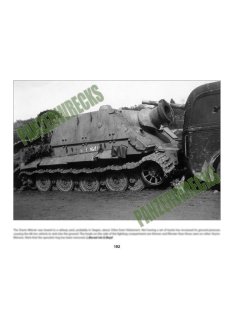 Sturmtiger: The Combat History of Sturmmorser Kompanies 1000-1002